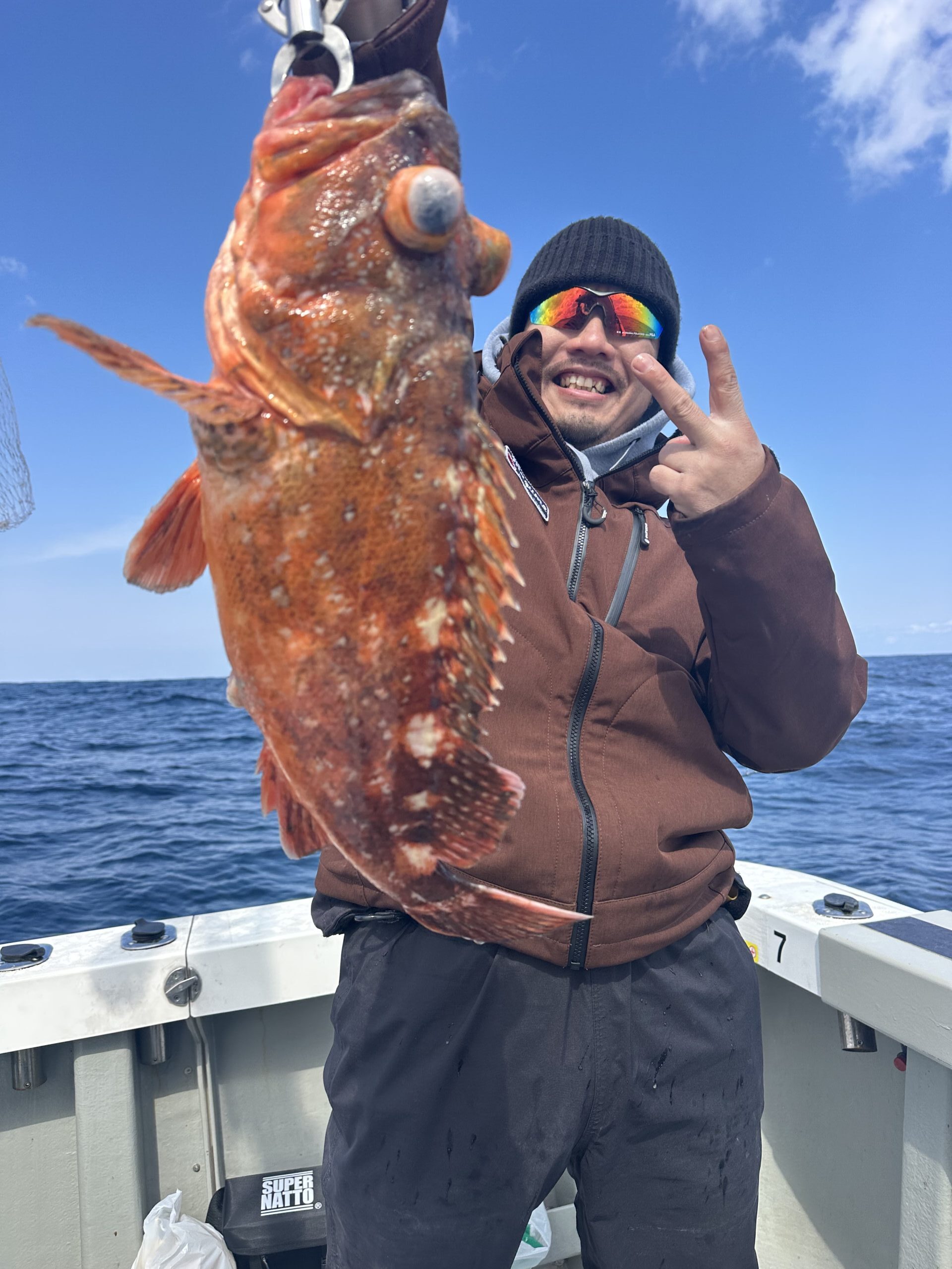 メダイ不発、ガシラ４９ｃｍ