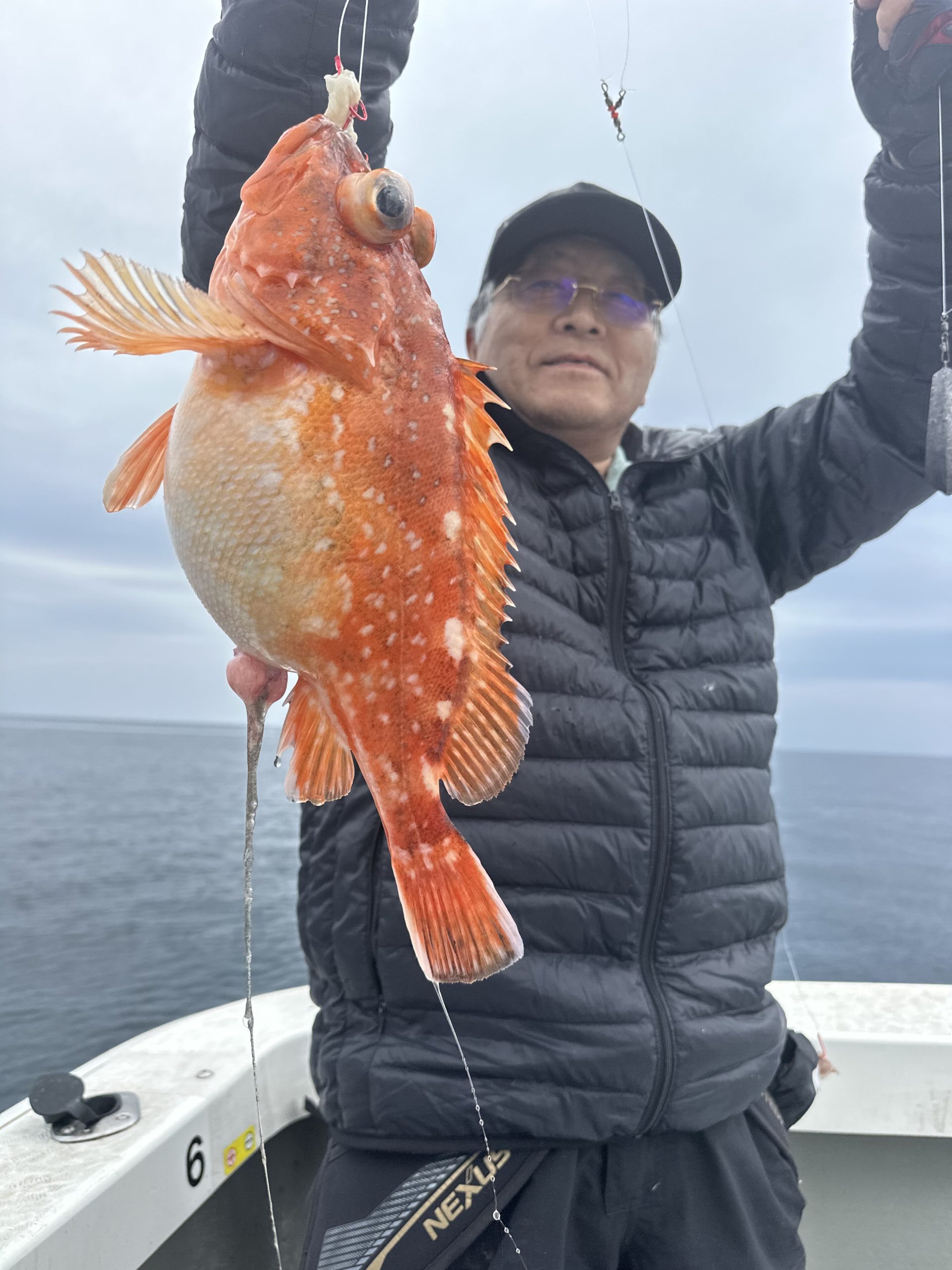 底物釣り　絶好調