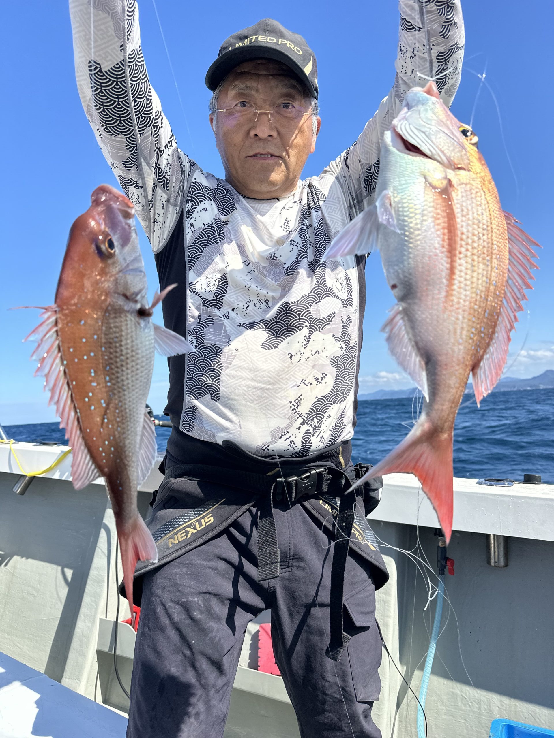 食べ頃マダイ＆チダイ